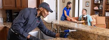 Best Termite Inspection and Treatment  in Brighton, MI